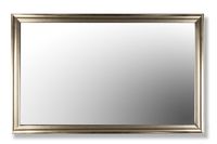49" Smart TV Mirror with Frame