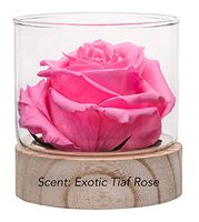 Home Scent 12oz Real & Months Lasting Fragrance Roses Gifts for mom Birthday Gifts for Women Aromatherapy Diffuser Room Decorations Room Decor Office Decor (Pink/Scent Taif Rose)
