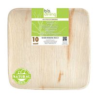 Natural palm leaf plates -Square 10" (100 count) | Disposable, biodegradable | For weddings, picnics, camping, outdoor use | Bio Dining |