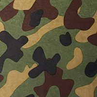 Leopard Spots Art DIY Crafts Tissue Paper for Gift Wrapping 20"X30" 5 Sheets Animal Print Safari