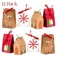 NIMU 12 Pack Premium Christmas Gift Bag with Special Design Reusable Craft Paper Boxes for Presents Candies Cookies Bundle Xmas Theme Gift Wrapping Bags Great Holiday Bulk Prime