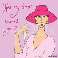 Hi-Look Microfiber Cleaning Cloth - Has My Limo Arrived Yet?