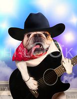 Hi-Look Microfiber Cleaning Cloth - Guitar Dog