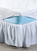 Bedbug Barrier