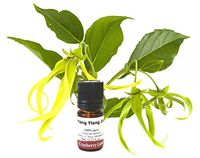 Ylang Ylang 100% Pure Essential Oil 5ml (3rd dist.)