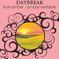 La-Tee-Da Effusion and Fragrance Lamp Oil Refills - 16 oz - GREEN HOUSE