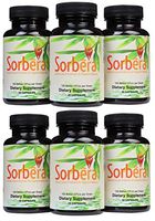 Sorbera Advanced Shelf Stable Probiotic + Prebiotic Capsules-150 Billion CFU/Gram -2.25 Billion CFU (15mg)/Serving - Recommended for Digestive Health for Adult Men and Women - 1 A Day