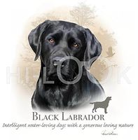 Hi-Look Microfiber Cleaning Cloth, dog design - Black Labrador