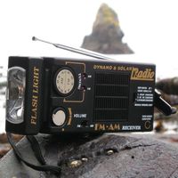 Dynamo & Solar Radio with Light