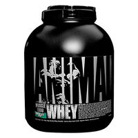 Universal Nutrition Animal Whey Isolate Loaded Whey Protein Powder Supplement, Chocolate Mint, 4 Pound