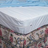 Zippered Plastic Mattress Protector - Hospital - 36" x 80" x 6" - Each