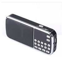 Portable Mini AM FM Radio Speaker Music Player, Micro SD/TF Card Slot, USB Charging Cord, Rechargeable Li-ion Battery, Earphone Jack (L-088AM Black)