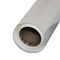 HOHOFILM Transparent Screen Material Film Rear Holographic Projection Film Self Adhesive Window Stickers,60"x16ft Roll