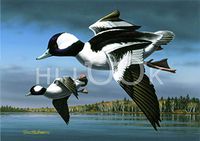 Hi-Look Microfiber Cleaning Cloth - Buffleheads