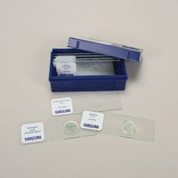 Beginner's Algae Microscope Slide Set