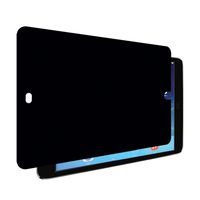 Fellowes PrivaScreen Privacy Filter for Apple iPad mini 2/3 - Landscape (4815501)