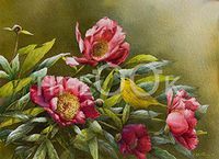 Hi-Look Microfiber Cleaning Cloth, bird design - Peony Perch