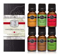 Christmas Set of 6 Premium Grade Fragrance Oils - Christmas Wreath, Mistletoe, Candy Cane, Gingerbread, Cinnamon, and Cranberry - 10ml
