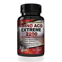 BCAA Amino Acid Extreme 2200 mg - High Performance Branch Chain Amino Acid Formula 90 Capsules - Muscle Building Post Workout Supplement - Includes Bonus Diet eBook