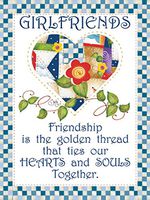 Hi-Look Microfiber Cleaning Cloth - Girlfriends Friendship