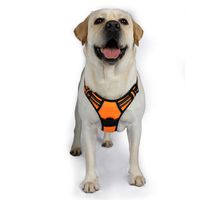 rabbitgoo Dog Harness No-Pull Pet Harness Adjustable Outdoor Pet Vest 3M Reflective Oxford Material Vest for Dogs Easy Control for Small Medium Large Dogs (Orange, XL)