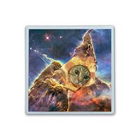 XIANN Care Contact Lens Box Holder Container Case Storage Eyecare Kit - Cat in Pizza