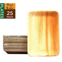 Raj Disposable Palm Leaf Plates [25-Pack] 9" X 6" Rectangle Plates Strong and Reusable Party Plates - Decorative Compostable Tableware for Lunch, Dinner, Birthday, Camping, Outdoor BBQ, Picnic Parties