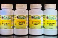 L-Lysine 500mg, Amino Acid, Made in USA - 240 (4x60) Tablets