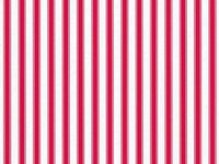 5ct Red Holiday Stripes on White Tissue Paper for Gift Wrapping 20"x30" Sheets nfLG -1111