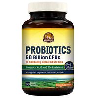 Vitalitown Probiotics + Prebiotics | 60 Billion CFUs 19 Strains | 60 Delayed Release Veg Caps | Shelf Stable, Stomach Acid & Bile Resistant | Digestive & Immune Support | Vegan, Non-GMO, Dairy Free
