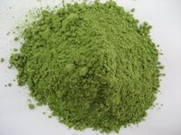 Wheatgrass Juice Powder - Organic Certified - Our Finest Wheatgrass Juice (8 oz (1/2 lb))