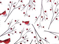 Pack Of 1, 30" X 100' 1.0 Mil Cardinal Christmas Print Cello Rolls Made In USA