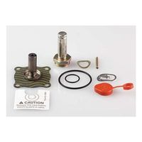 Asco, 302272, Valve Rebuild Kit, with Instructions