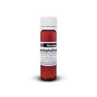 CAULOPHYLLUM 6C Homeopathic Remedy in 10 Gram