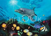 Hi-Look Microfiber Cleaning Cloth - Shimmer Bay Shallows