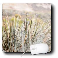 3dRose LLC 8 x 8 x 0.25 Inches Mouse Pad, Needles from A Cactus Plant in Snow Canyon (mp_98159_1)