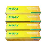 Pack 4x120g. Namman Muay Cream Thai Boxing Analgesic Massage,analgesic Cream for Pre and Post Exercise Application Relieves Muscular Aches and Pain