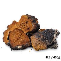 Tealyra - Chaga Chunks - Pure Raw Wild Harvested Canadian Chaga - Mushroom Tea - Superfood - Healthy Immune Booster & Antioxidant - 450g (1-pound)
