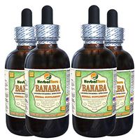Banaba, Nicker Bean (Lagerstroemia Speciosa) Dried Leaf Alcohol-Free Liquid Extract (Brand Name: HerbalTerra, Proudly Made in USA) 4x4 oz
