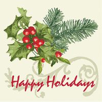 Creative Converting 656909 16 Count Holly Collage Paper Beverage Napkins
