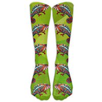Egg Egg Colorful Chameleon Lizard Creative stockings Socks Athletic Crew Socks