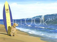 Hi-Look Microfiber Cleaning Cloth - The Kings Beach