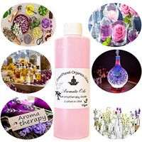 Meditation Musks Clean Burning Oils 8oz (Women's Egyptian Musk)