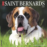 Just Saint Bernards 2019 Wall Calendar (Dog Breed Calendar)