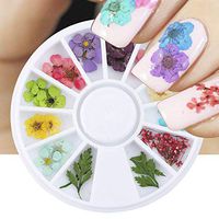 New 12 Color Real Dry Dried Flower Leaves 3D UV Gel Acrylic False Tips Nail Art