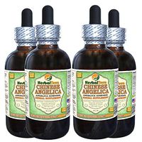 Angelica Chinese (Angelica Sinensis) Glycerite, Organic Dried Root Alcohol-Free Liquid Extract (Brand Name: HerbalTerra, Proudly Made in USA) 4x4 fl.oz (4x120 ml)