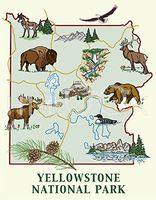 Hi-Look Microfiber Cleaning Cloth - Yellowstone
