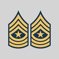 fagraphix Two Pack E-9 Sergeant Major Insignia Sticker Decal Vinyl United States Army FA Vinyl
