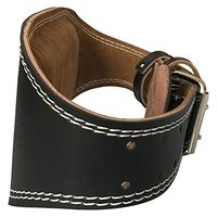 fayle Weight Lifting Belts for Fitness Gym Club, Adjustable PU Leather Belt with Padded Lumbar Back Support, Exercise Fitness Training Belt for Bodybuilding, Powerlifting, Workout