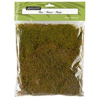 Preserved Moss-105 Cu In Forest Green by Ashland